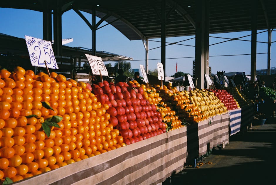 Colorido arreglo de naranjas y manzanas en exhibición en un mercado al aire libre, bañado por la luz del día.