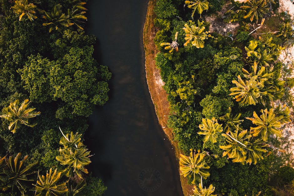 Fotos de stock gratuitas de agua, al aire libre, arboles
