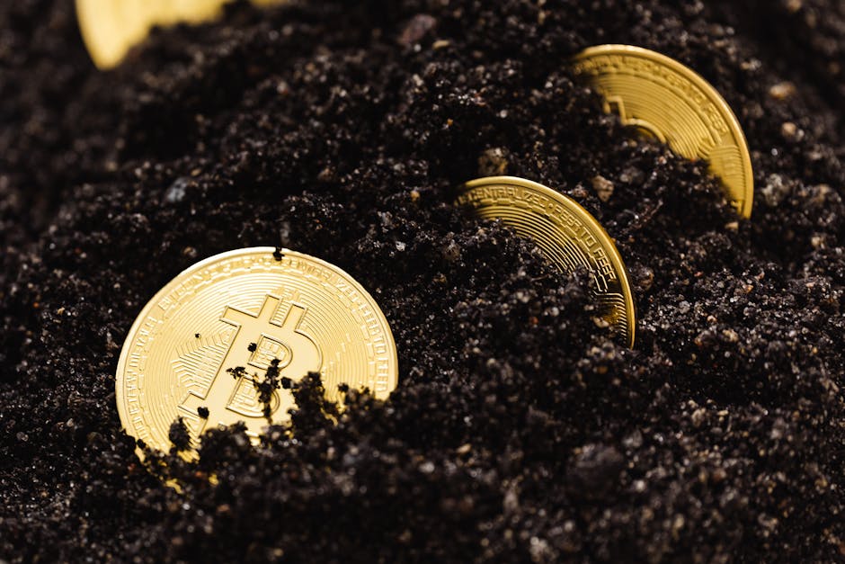 Fotos de stock gratuitas de avance tecnológico, billetera digital, bitcoins