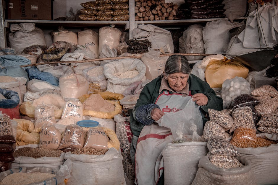 Fotos de stock gratuitas de agricultura, alimentos orgánicos, alubias
