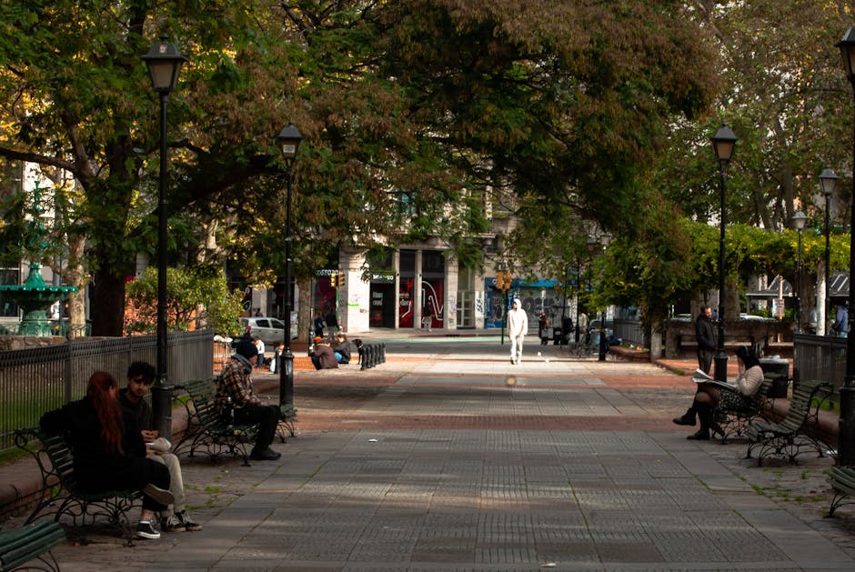 Fotos de stock gratuitas de acera, actividad al aire libre, arboles