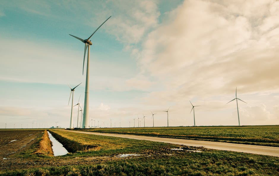 Energía De Molino De Viento En Campo De Hierba Verde