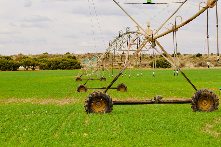 Un sistema de riego avanzado riega un exuberante campo verde bajo un cielo nublado, mejorando la eficiencia agrícola.