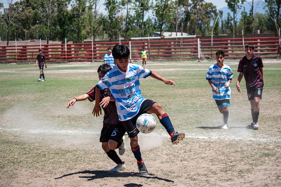 Fotos de stock gratuitas de abordando, actividad al aire libre, adolescentes