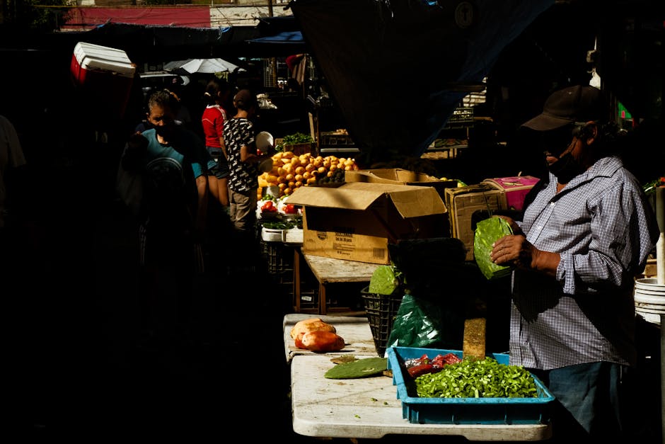 Fotos de stock gratuitas de adulto, agricultura, ambiente urbano