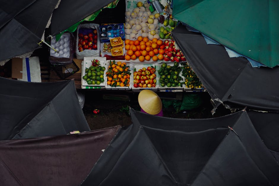 Fotos de stock gratuitas de agricultura, al aire libre, carton de huevos