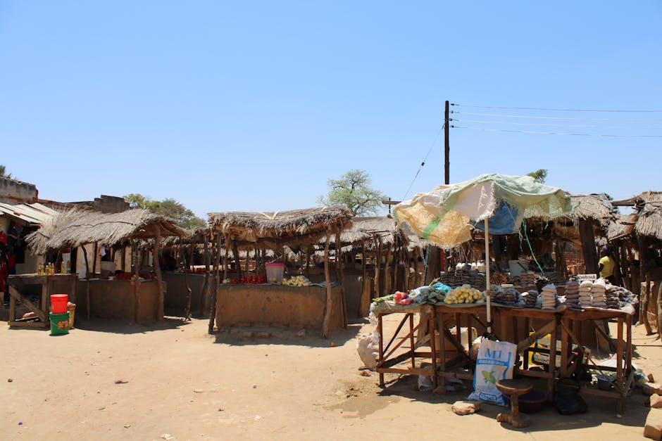 Explore el vibrante entorno del mercado tradicional en la Zambia rural, capturado en un día soleado.