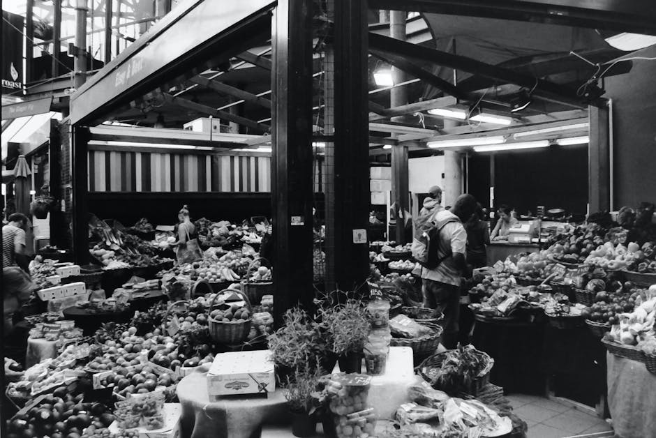 Fotos de stock gratuitas de agricultura, blanco y negro, bullicioso