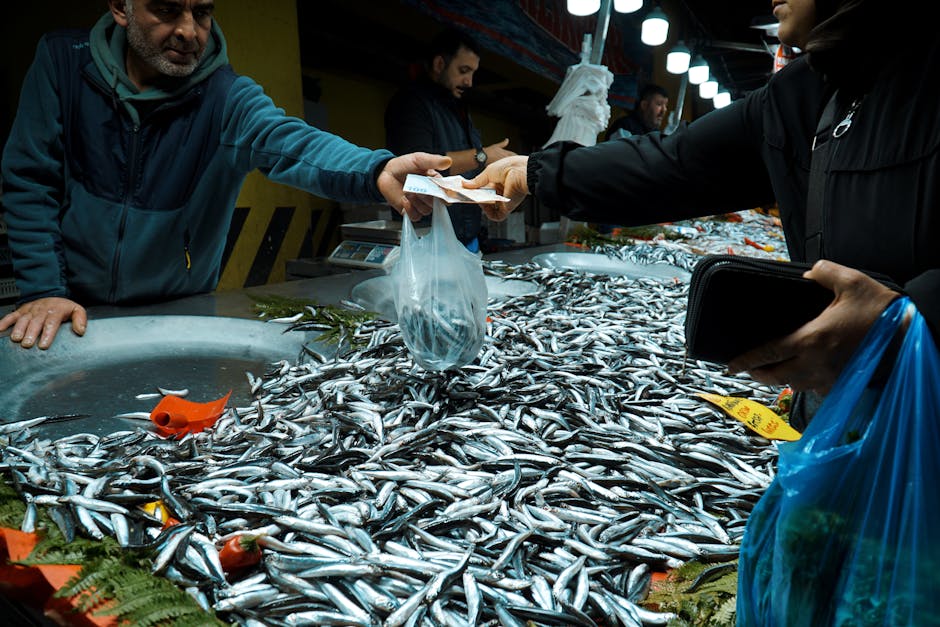 Fotos de stock gratuitas de almacenamiento en frio, apretón de manos, Asia
