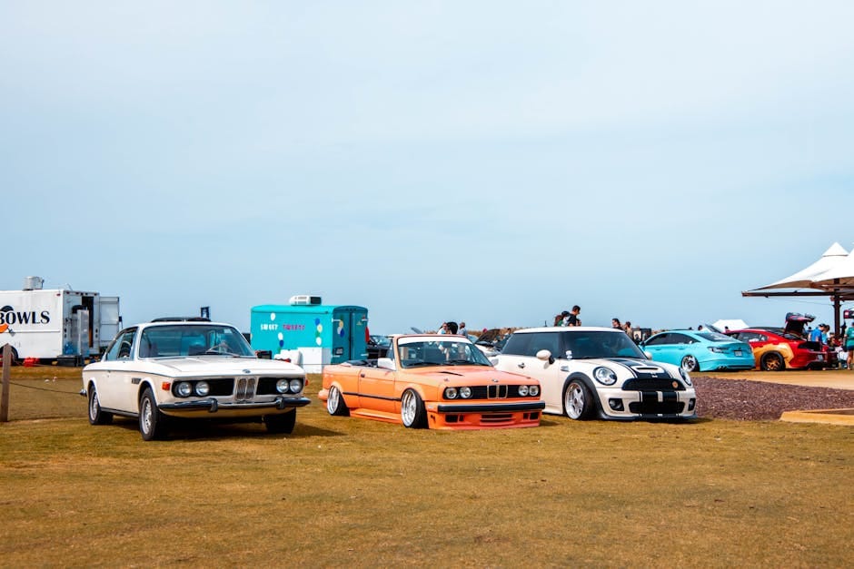 Una alineación de coches antiguos y modernos exhibidos al aire libre durante el día.