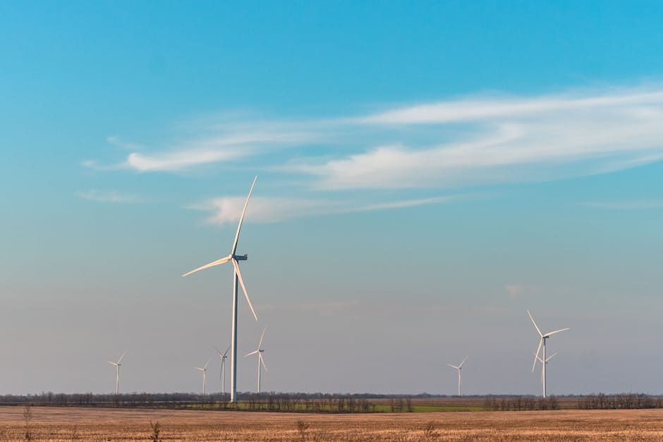 Fotos de stock gratuitas de brisa, calentamiento global, cambio climático