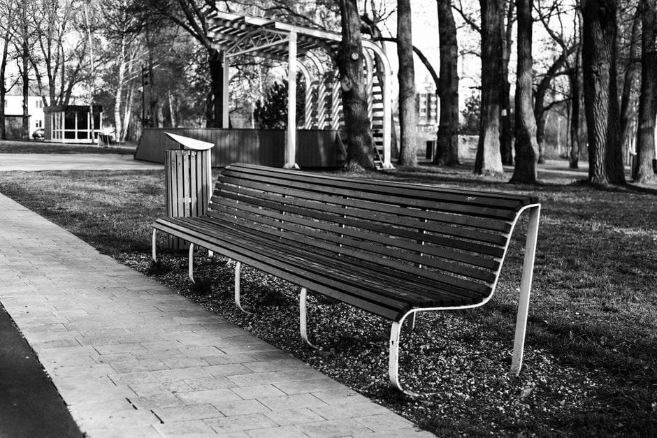 Una imagen en blanco y negro de un banco de parque vacío en un entorno de parque urbano sereno.