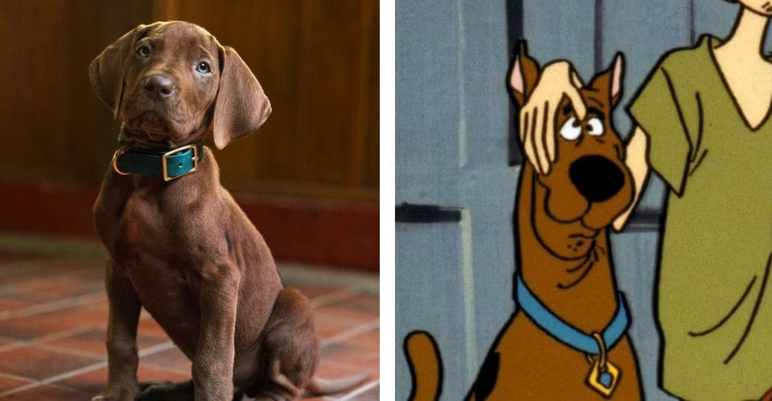 La polémica sobre las orejas de Scooby-Doo en la nueva Live Action de Netflix