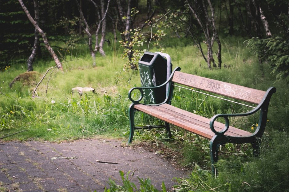 Un banco de parque solitario con grafitis en medio de un exuberante bosque verde, que ofrece un refugio sereno al aire libre.