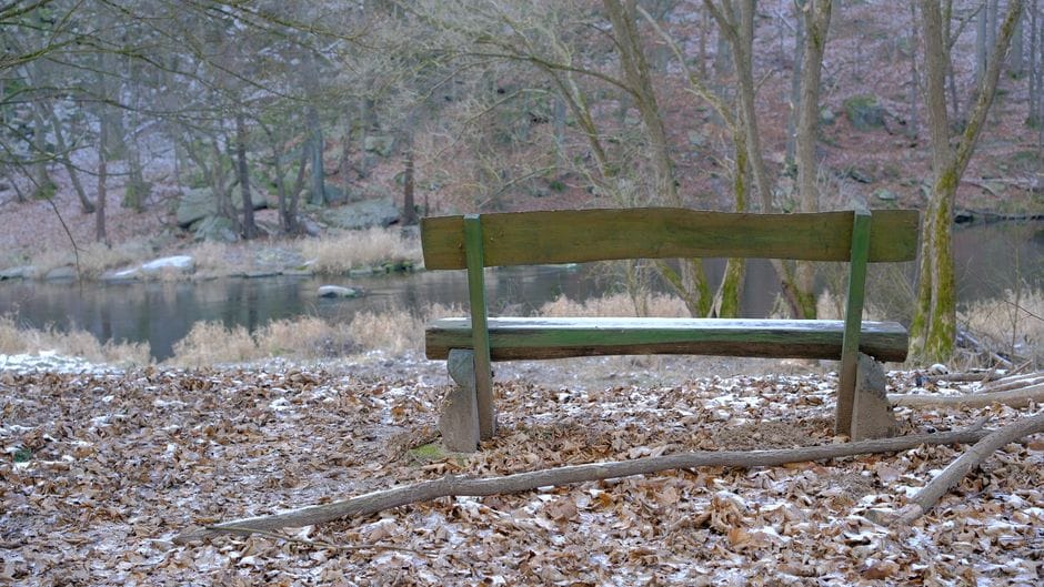 Una escena tranquila de un banco de madera rústica frente a un estanque sereno en un entorno de bosque invernal.