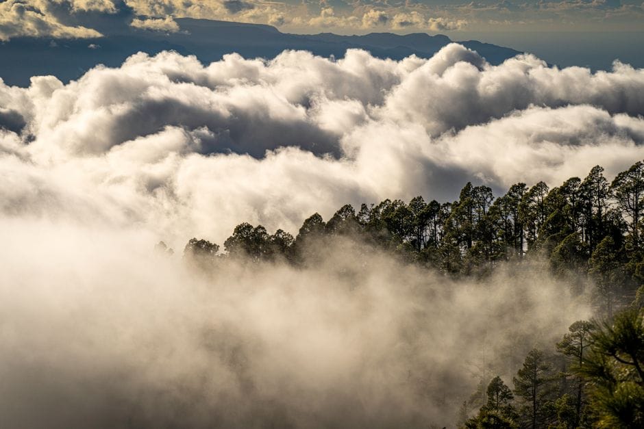 Fotos de stock gratuitas de al aire libre, amanecer, ambiente