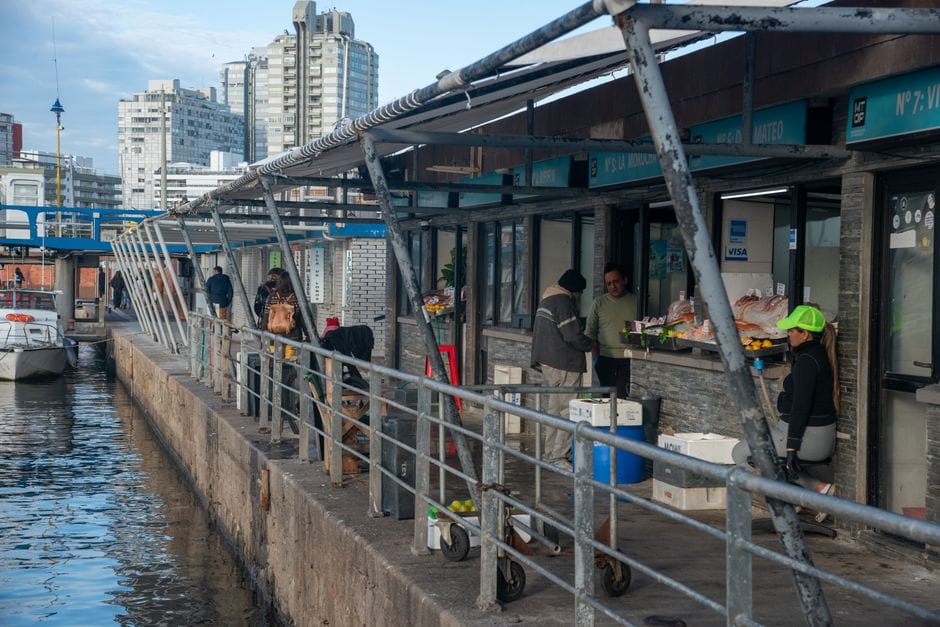 Fotos de stock gratuitas de adobe lightroom, agua, al aire libre