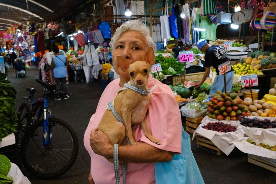 Una anciana sostiene a su chihuahua en un animado mercado mexicano repleto de productos frescos.