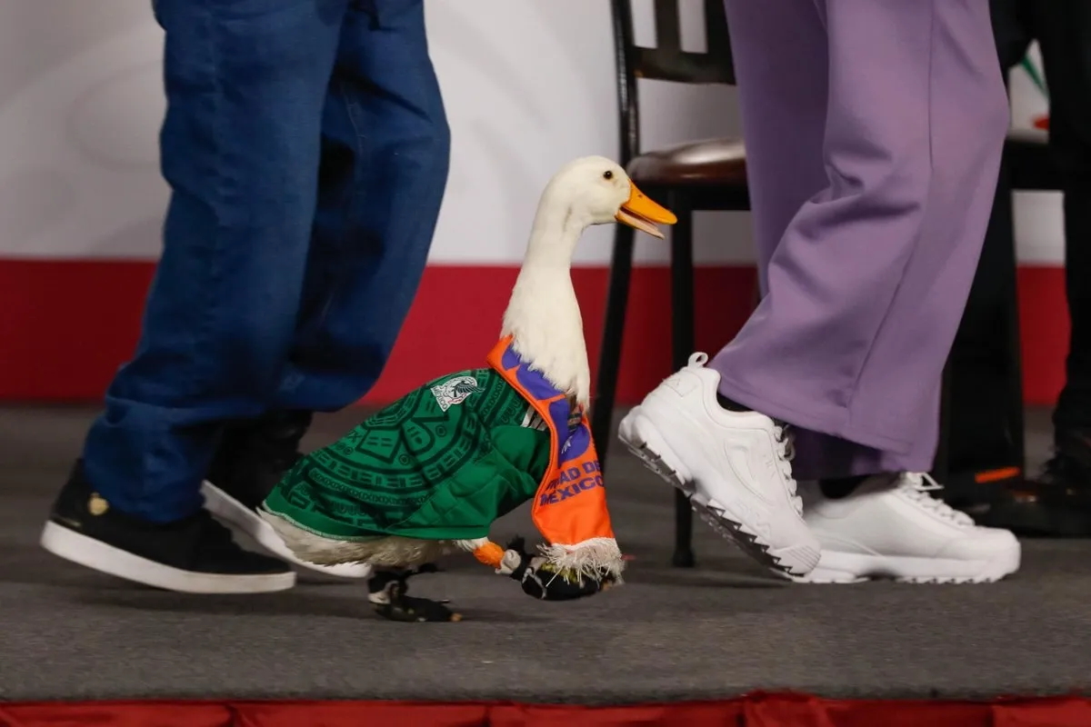 La familia del Pato Merlín estrena departamento y llega a la Lotería Nacional