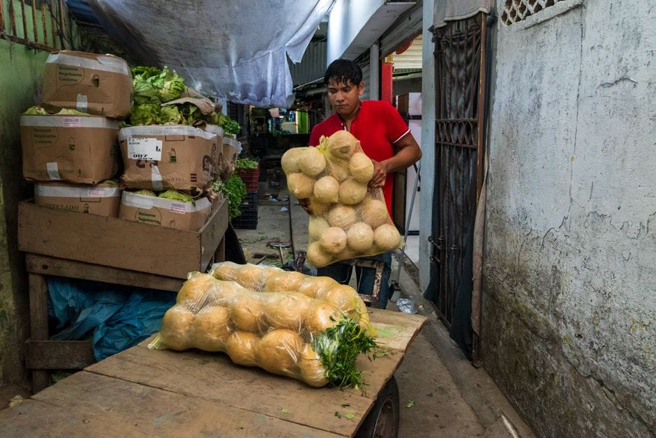 Un vendedor del mercado organiza melones en un puesto bullicioso repleto de verduras frescas y hortalizas de hoja verde.