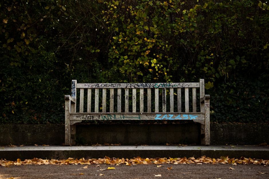 Un banco solitario con grafitis rodeado de hojas de otoño caídas en un parque de Berlín.