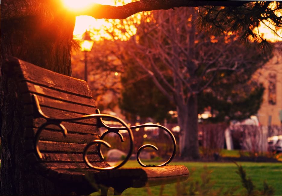 Banco De Madera Marrón Al Atardecer
