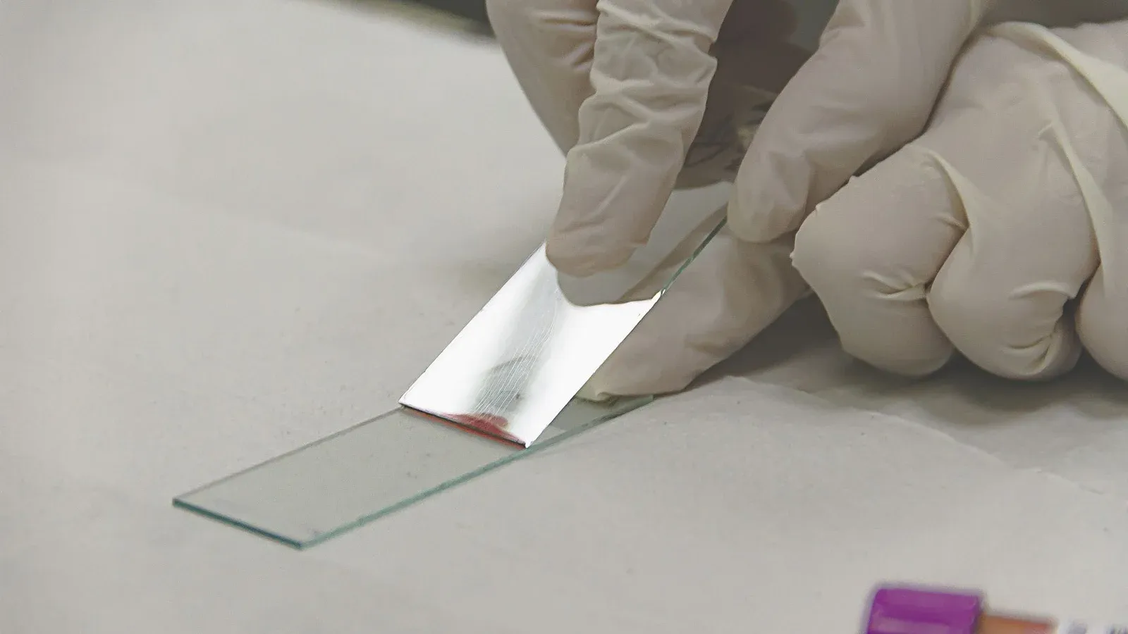 Scientist in gloves preparing a glass slide with a sample for microscopic analysis.