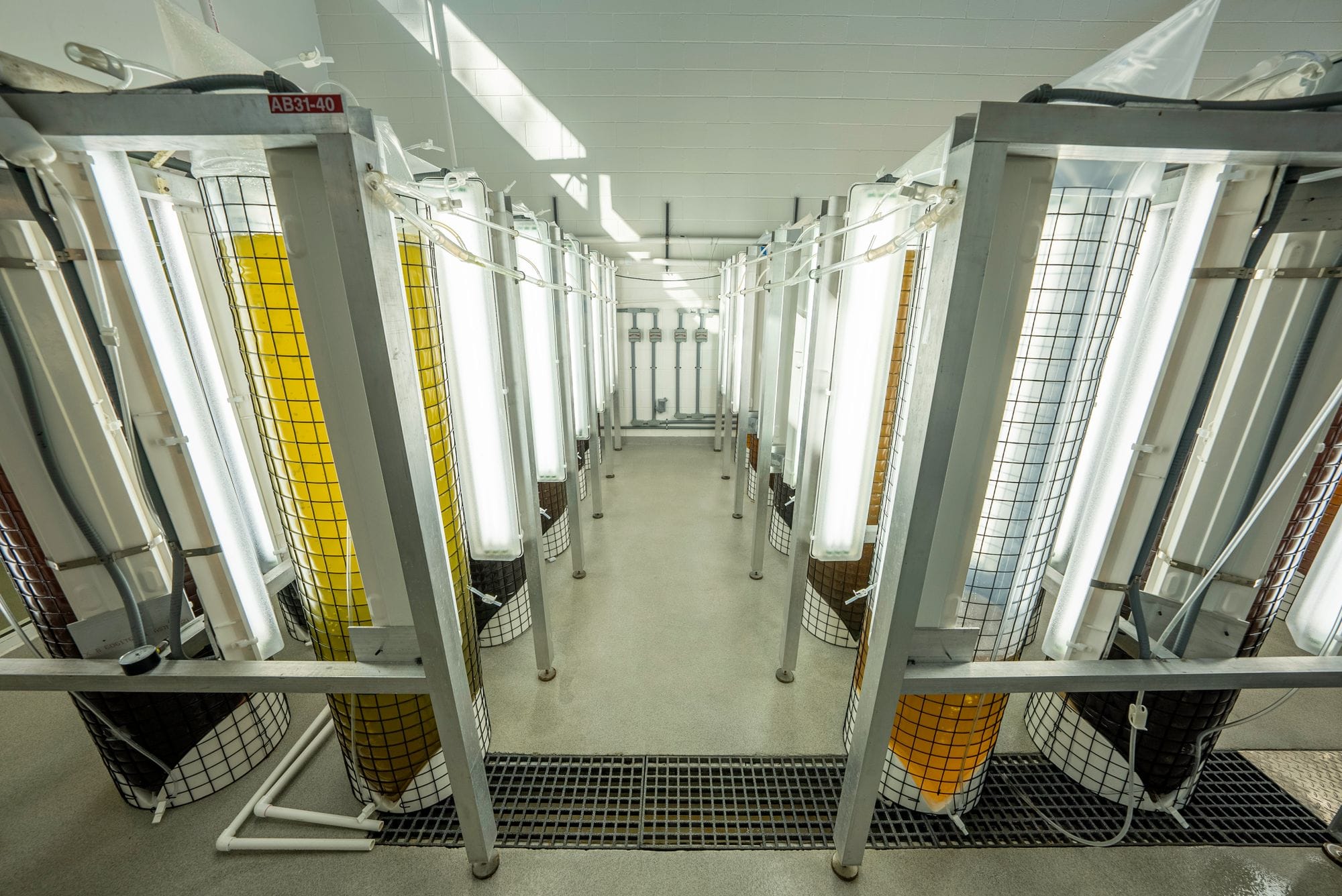 Industrial lab setup with tubular structures and containers illuminated by bright lights.