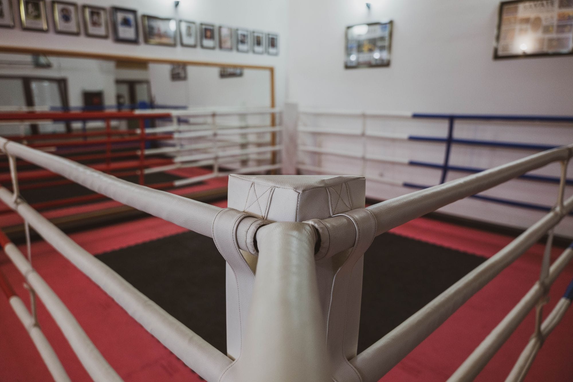 An empty boxing ring inside a gym with red and blue corner ropes and pink flooring.