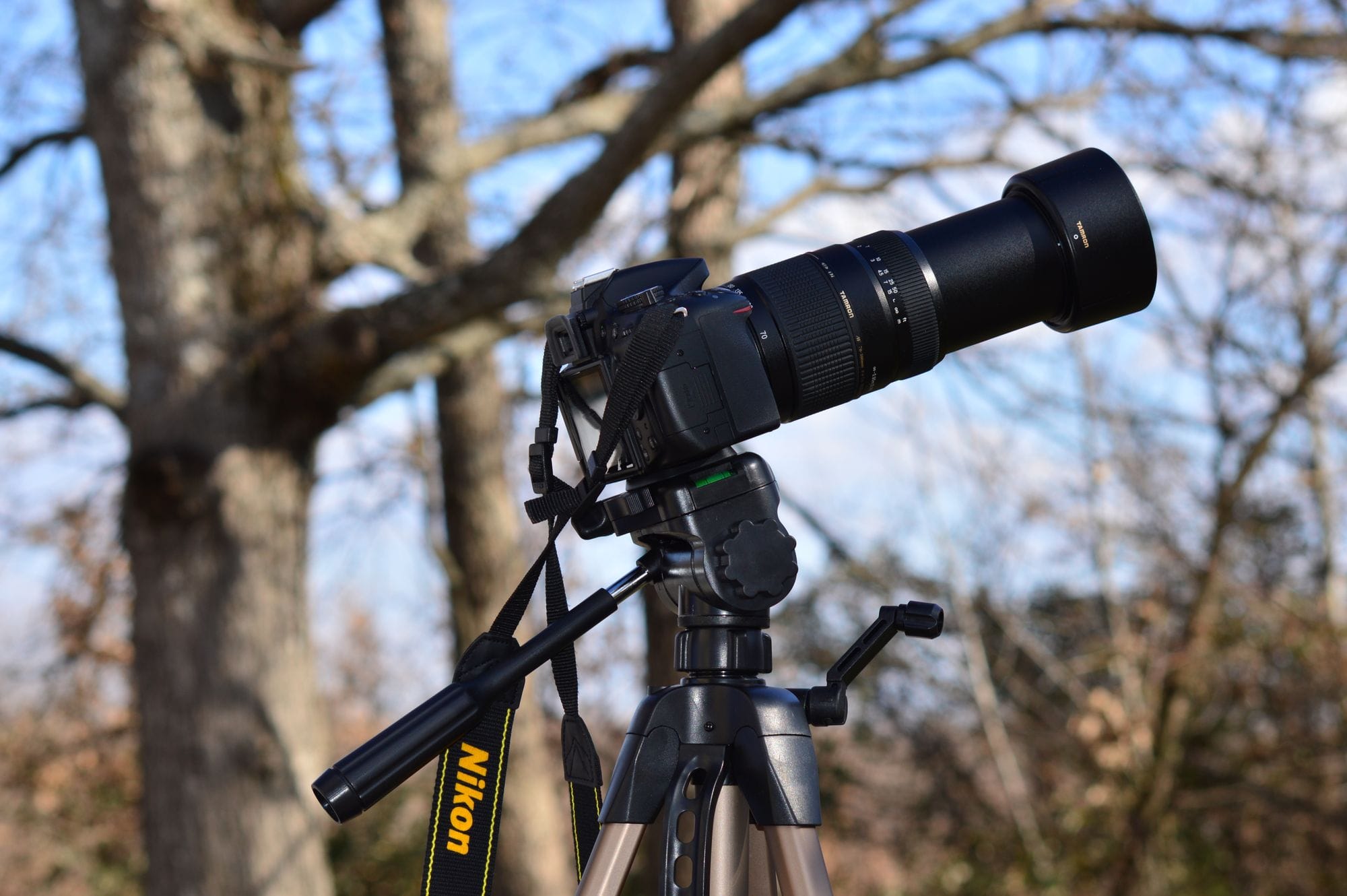 Close-up of a Nikon camera on a tripod in a forest setting during autumn.