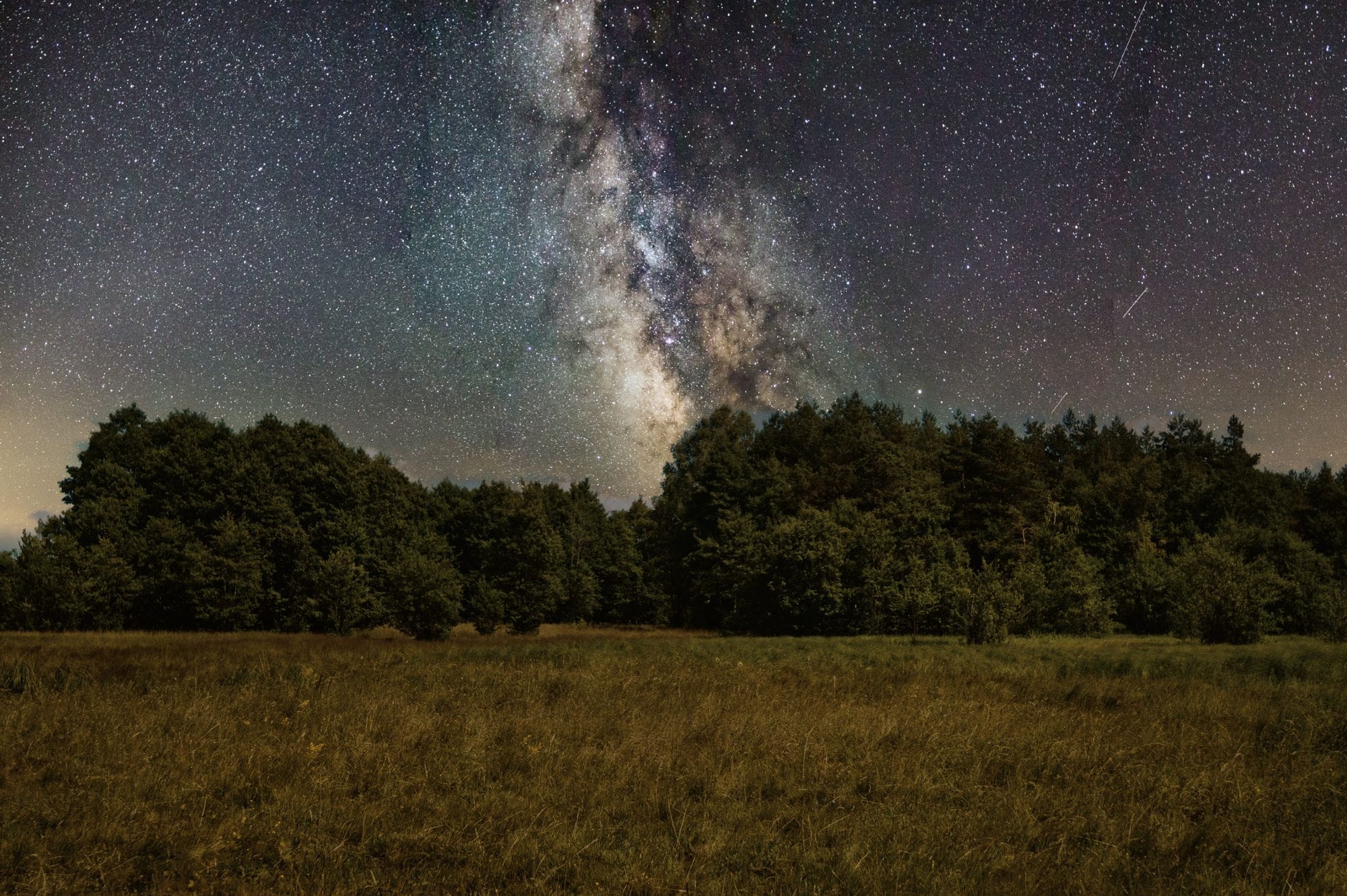Captivating view of the Milky Way galaxy with a clear starry night sky over a peaceful meadow and forest.
