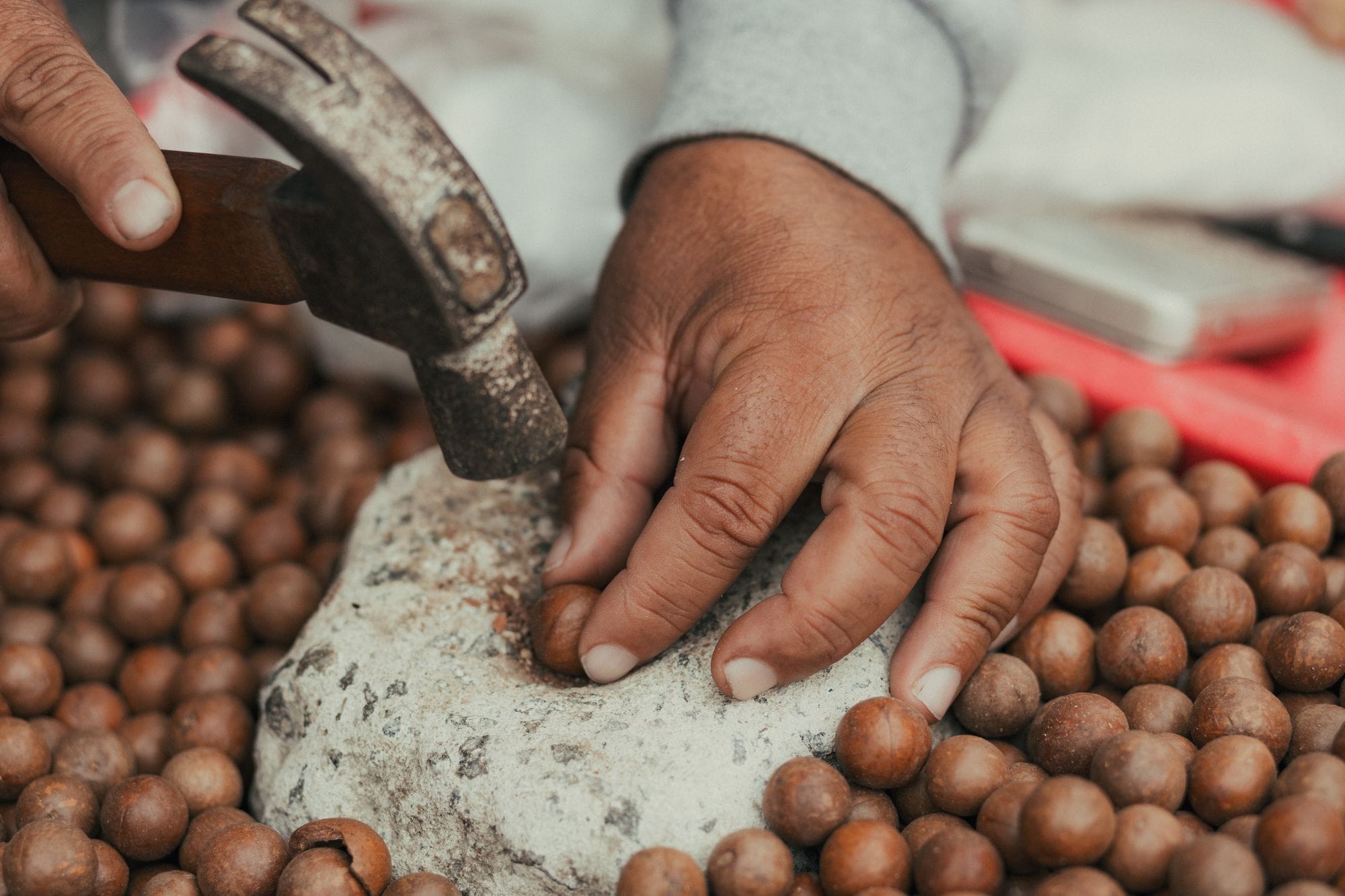 Hands using a hammer to crack nuts on a stone surface, showcasing traditional methods.