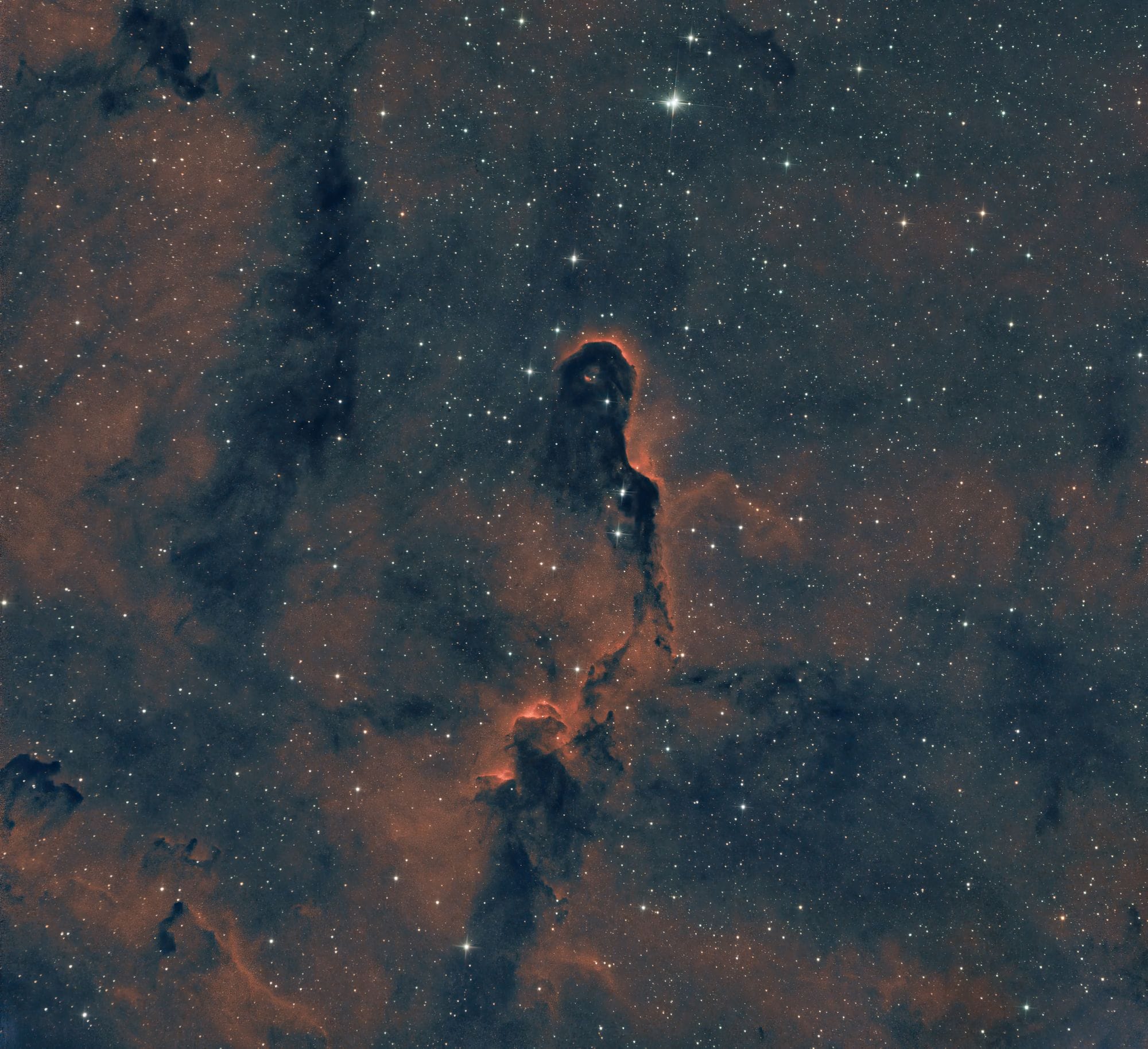 A breathtaking image of the Elephant Trunk Nebula showcasing vivid star clusters and dust formations.
