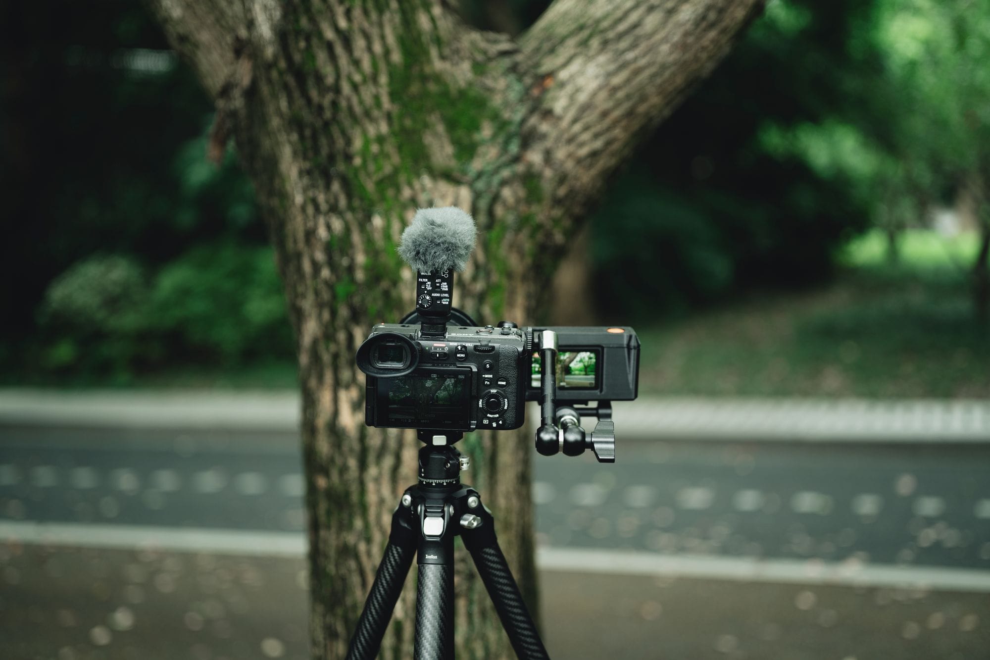 Mirrorless camera on a tripod outdoors with green foliage background.