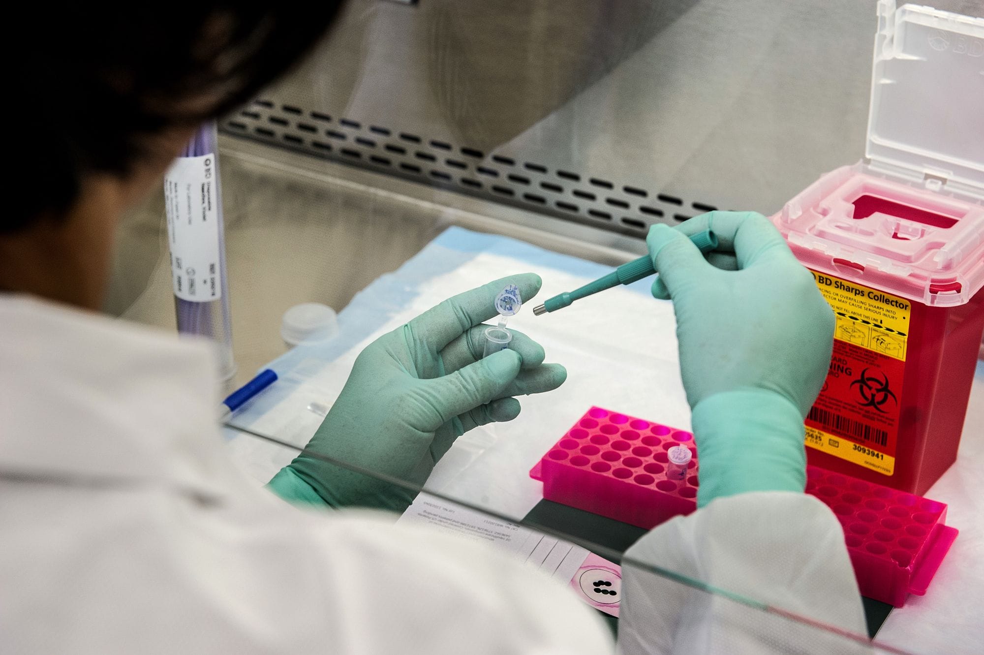 Scientist with gloves managing samples in a sterile lab environment.