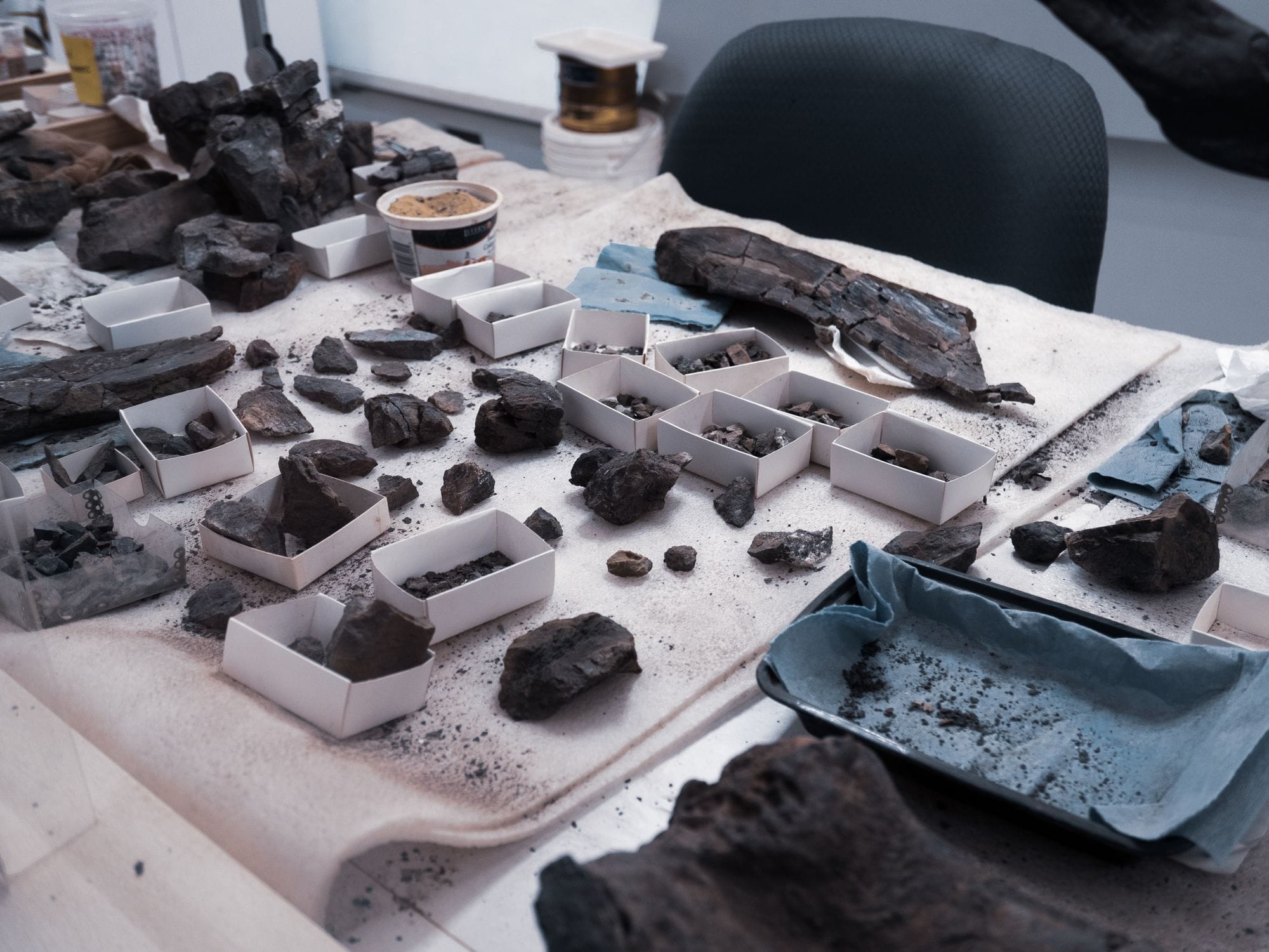 A cluttered desk showcasing various archaeological findings and ancient artifacts.