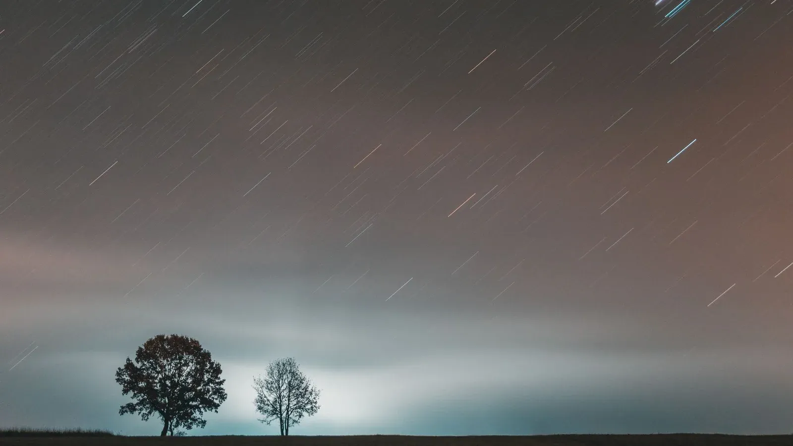 Long exposure photo capturing star trails over silhouetted trees at night