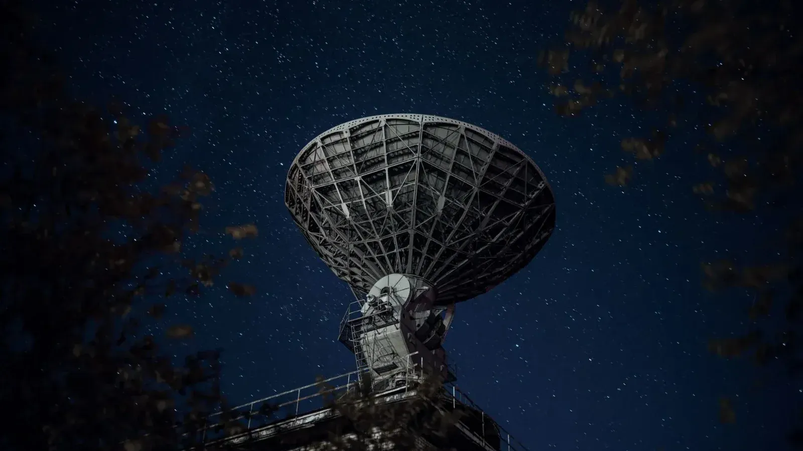 From below of blue starry sky over radio telescope and trees with leaves
