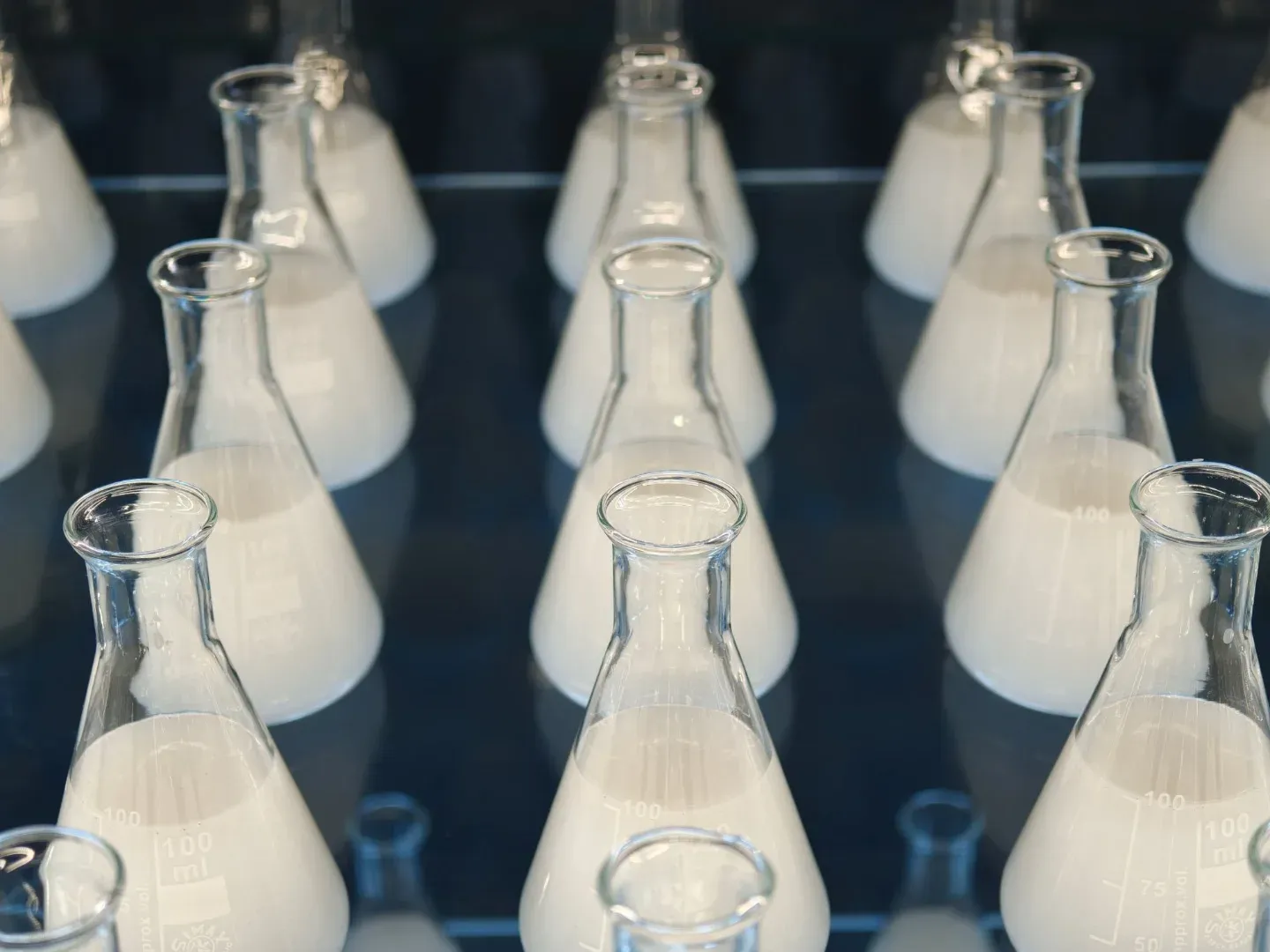 Close-up of Erlenmeyer flasks filled with opaque liquid on a reflective surface.