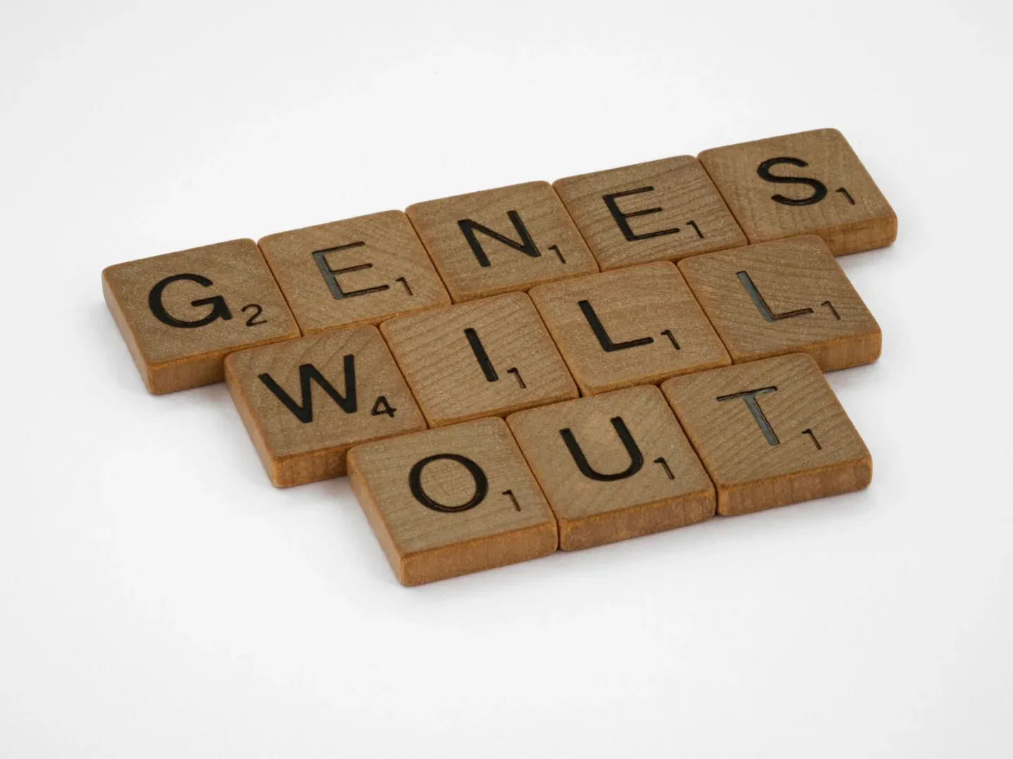 Close-up of wooden Scrabble tiles spelling 'Genes Will Out' on a white background.