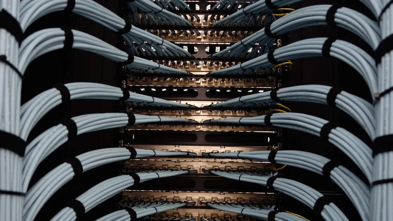 Organized network server cables for efficient data management.