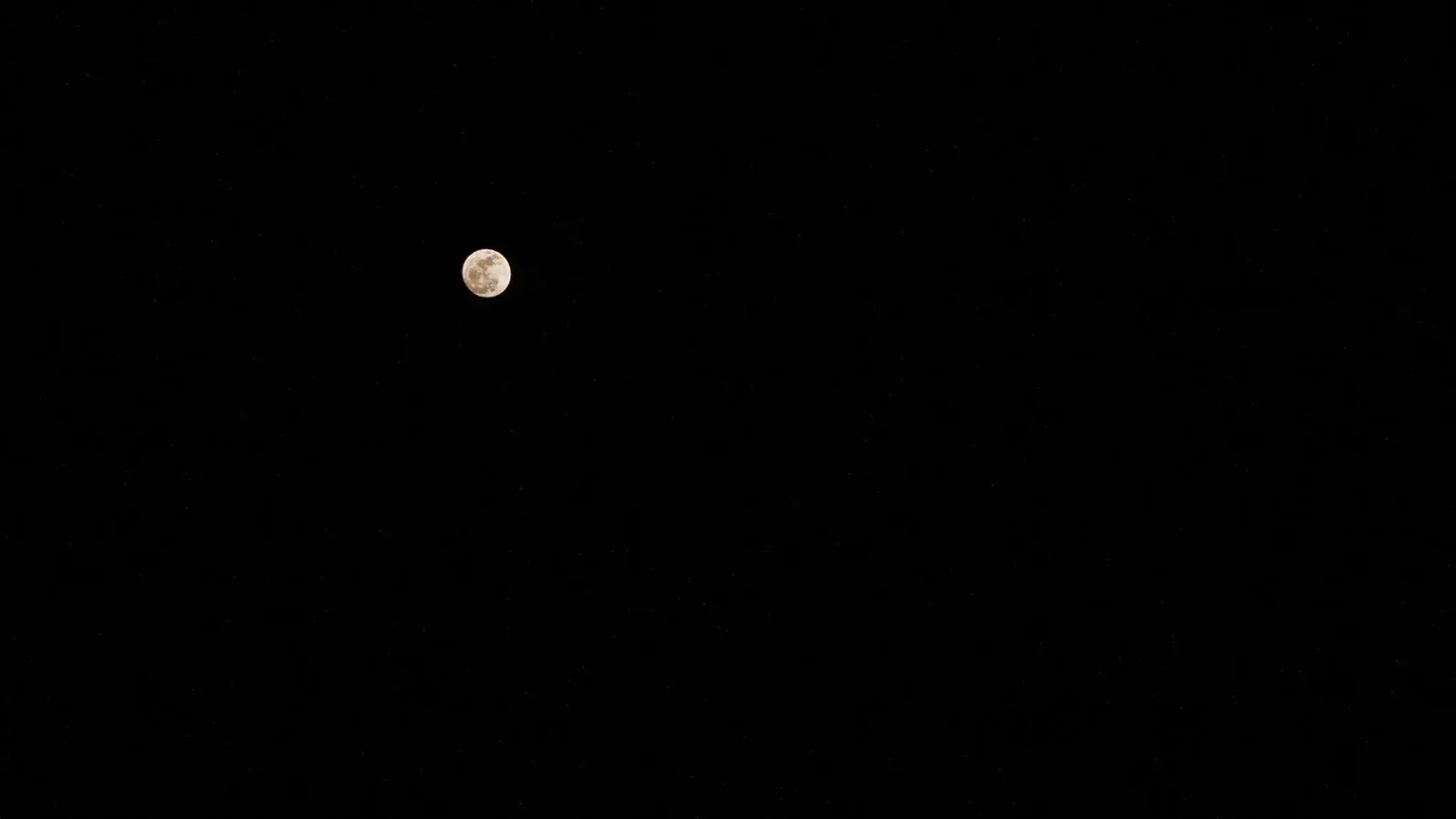 A full moon against a dark, starry night sky with no visible clouds.