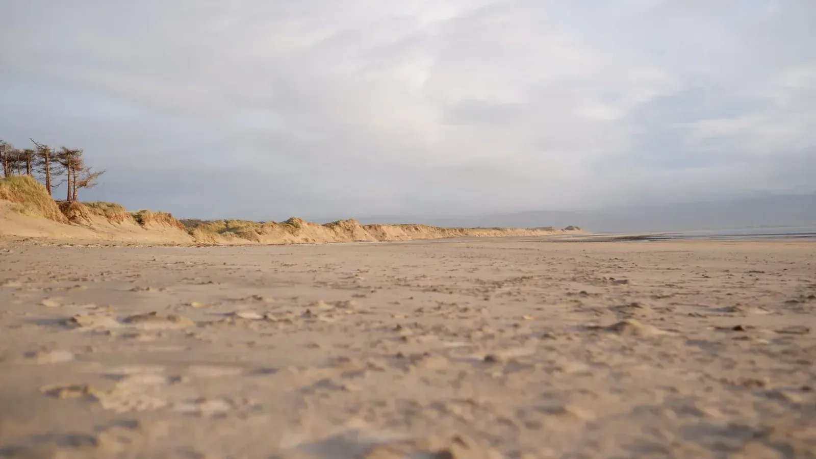 Empty beach landscape with sandy dunes and overcast skies, offering serene solitude.