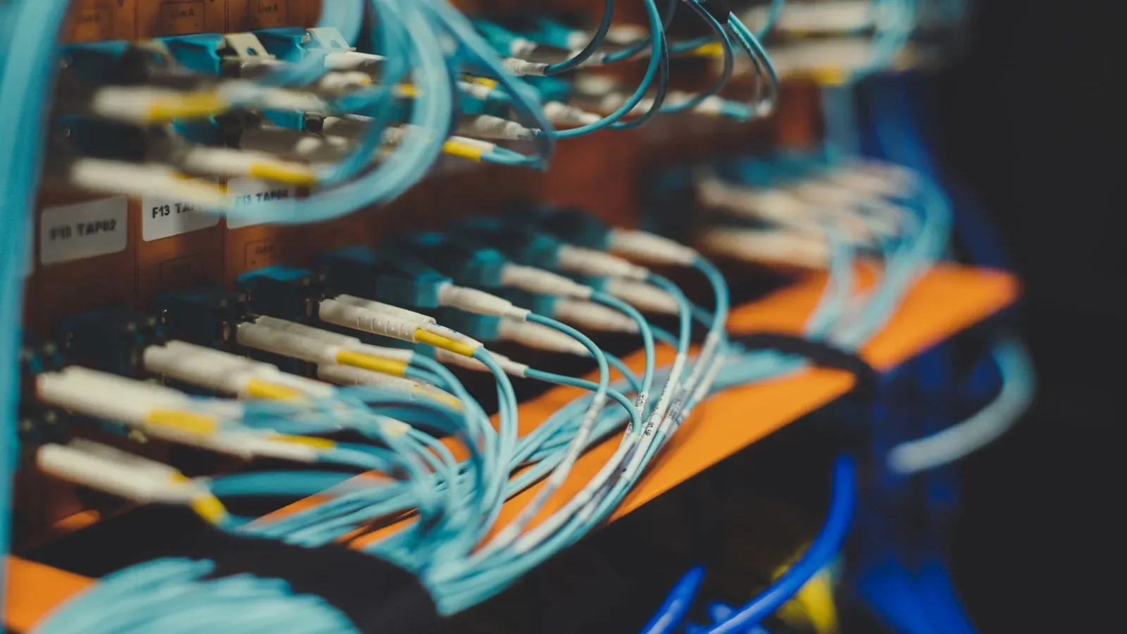 Closeup of many cables with blue wires plugged in modern switch with similar adapters on blurred background in modern studio