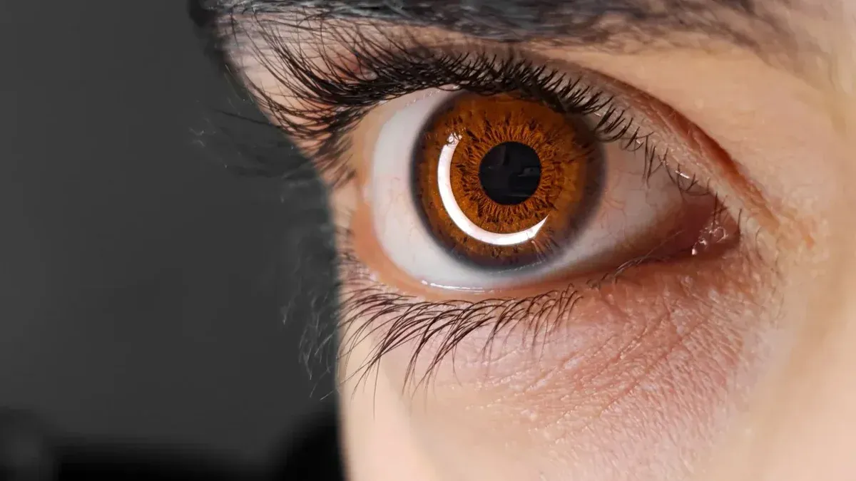 Detailed close-up image of a human brown eye with emphasis on the iris and eyelashes.