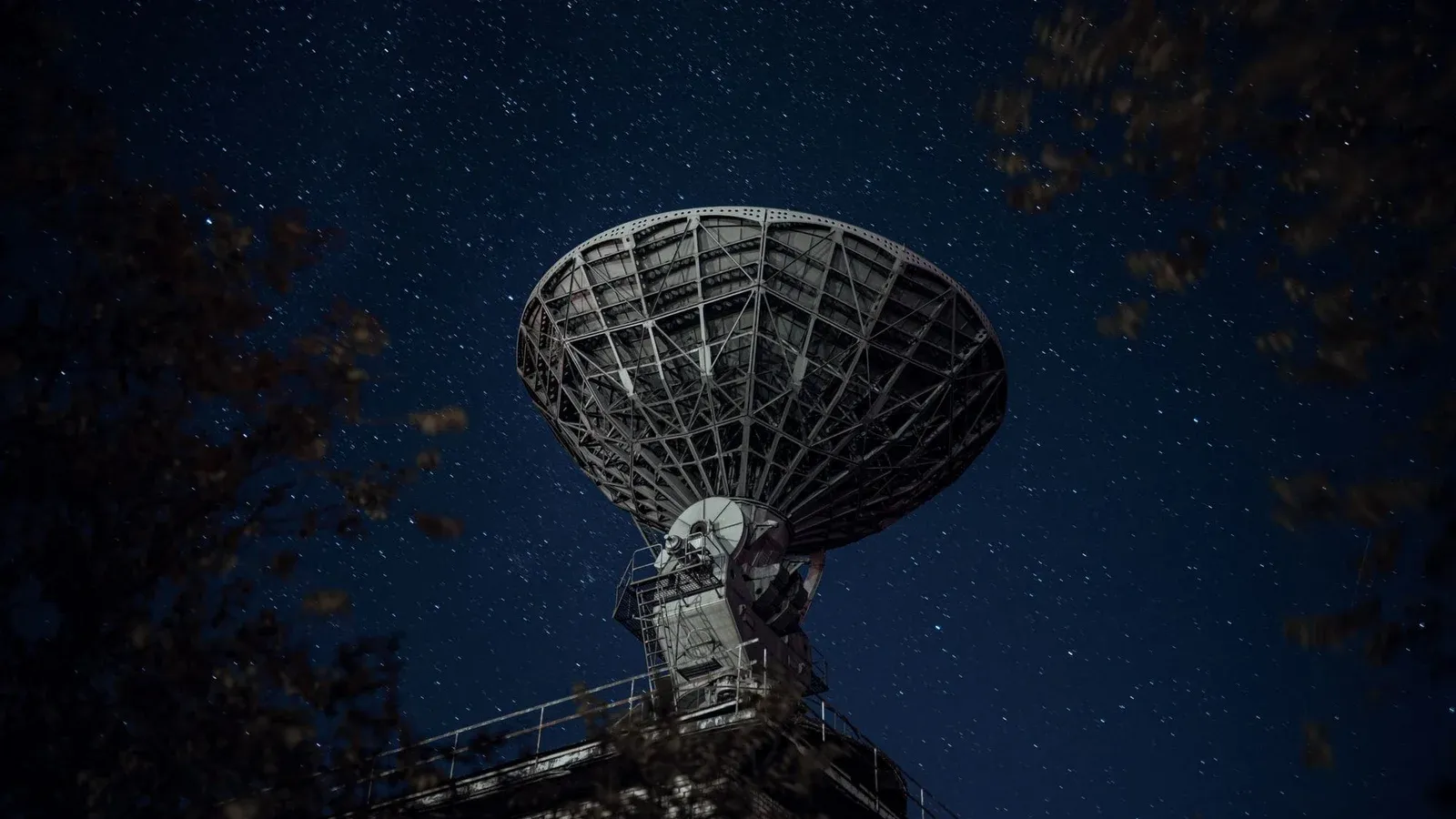 From below of blue starry sky over radio telescope and trees with leaves