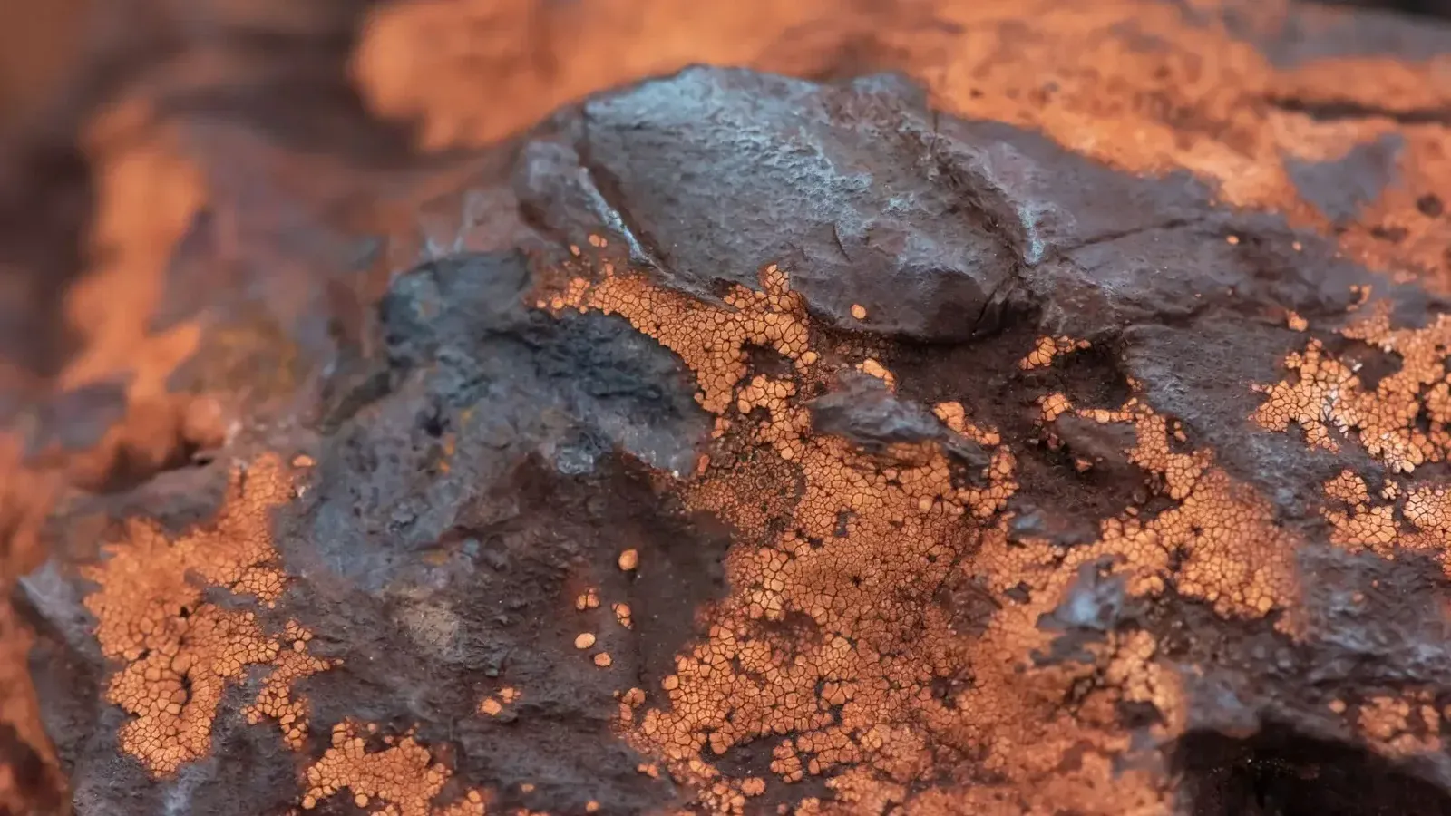 Detailed texture of iron ore rock in Minas Gerais, Brazil, showcasing earthy tones and mineral structures.