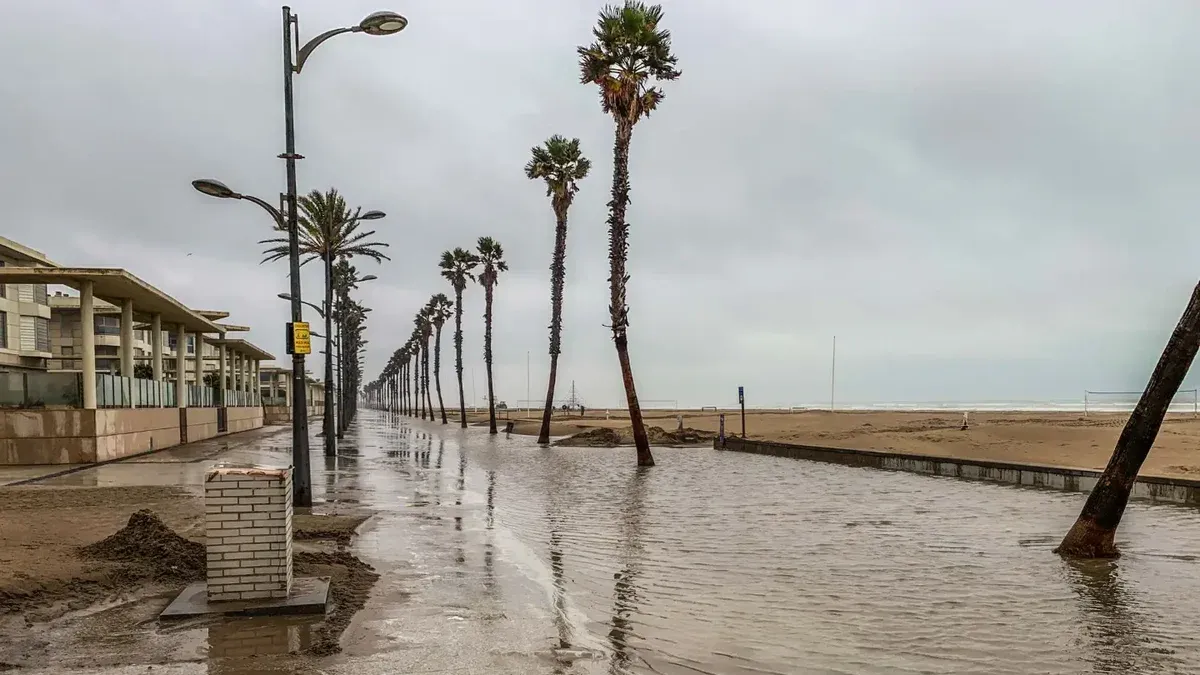 Paseo inundado con palmeras y playa bajo cielos nublados.