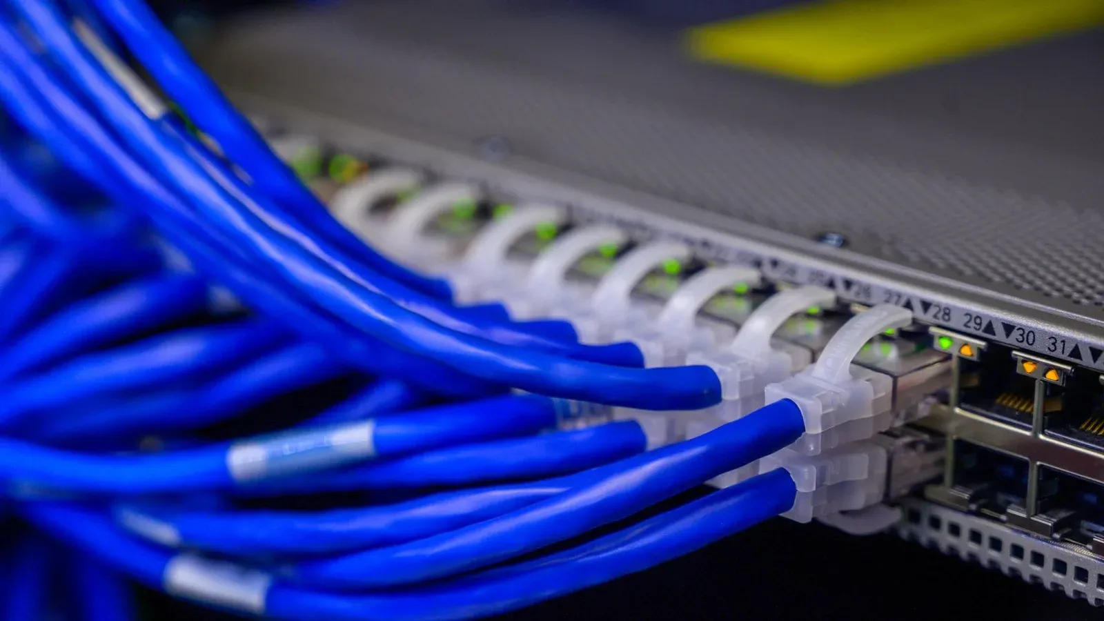 Detailed view of blue ethernet cables connected to a network switch in a data center.