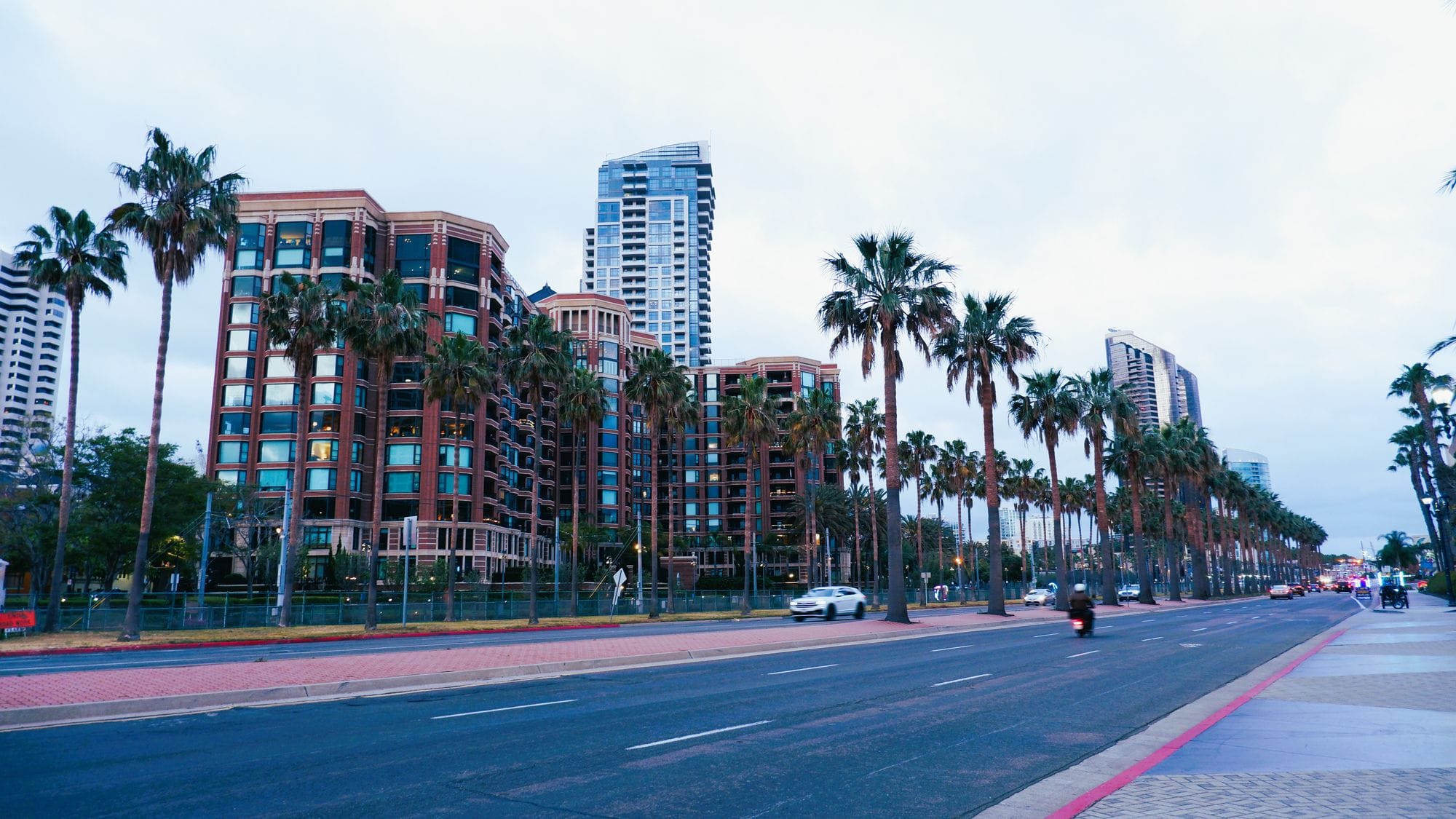 Urban skyline with palm trees and high-rise buildings along a city street at dusk.